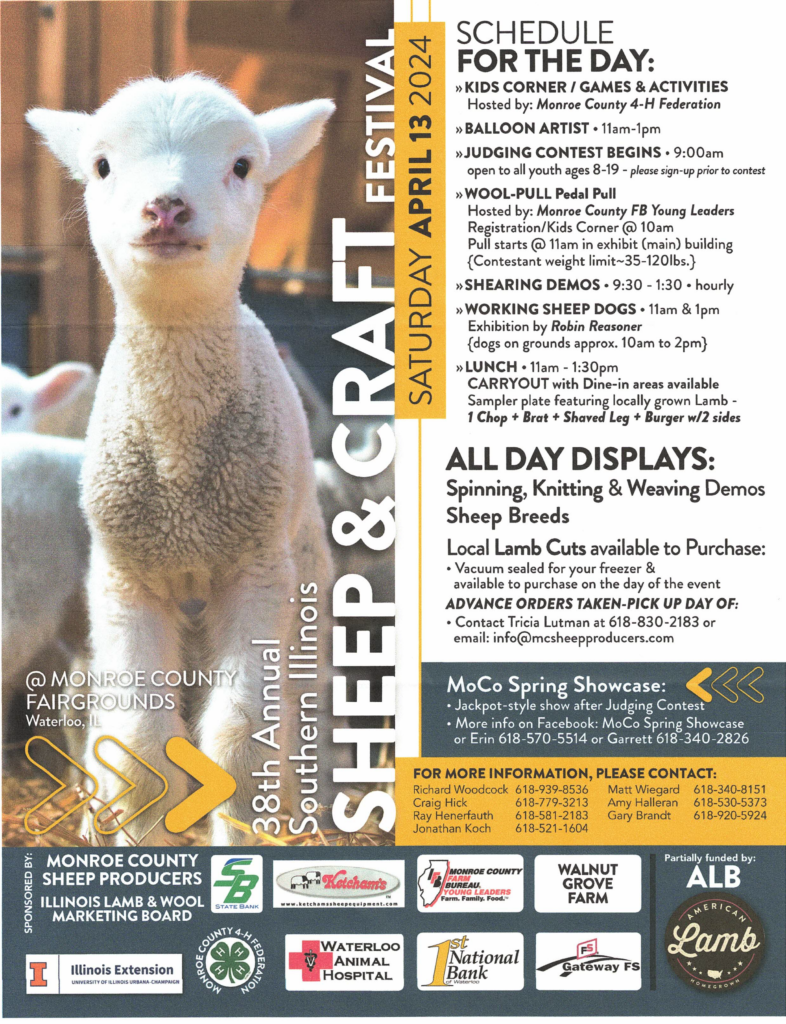 sheep & craft festival flyer 2024