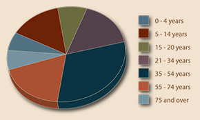 age pie chart